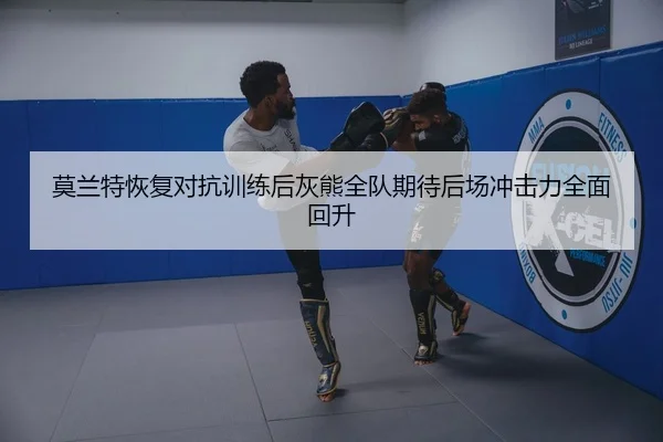 莫兰特恢复对抗训练后灰熊全队期待后场冲击力全面回升